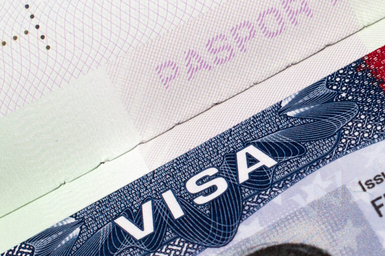 Detail from a USA visa document.